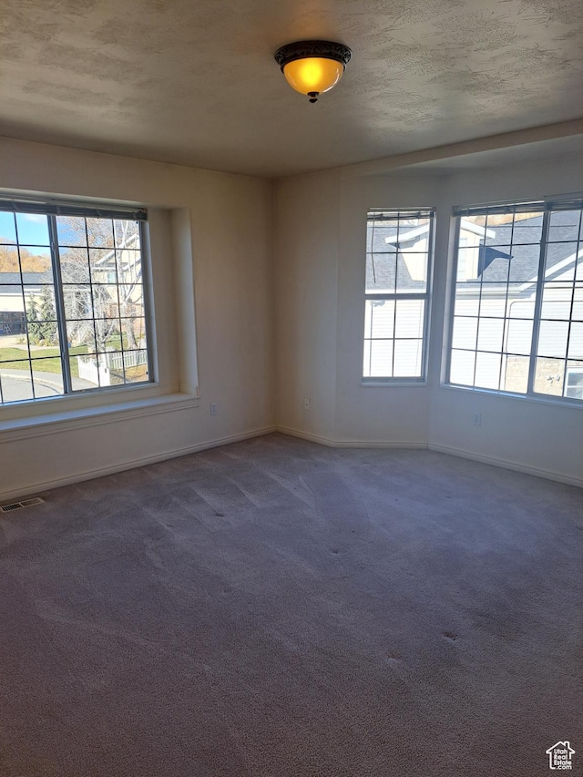 913 S 1320 E, Pleasant Grove, UT 84062 - carpeted empty room with a textured ceiling