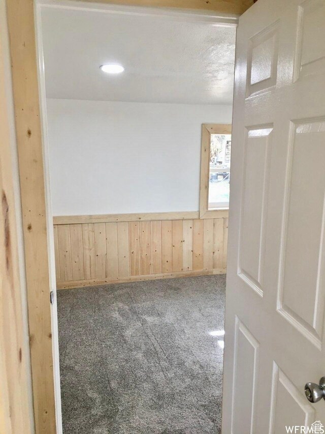250 W 700 S, Richfield, UT 84701 - unfurnished room with wood walls and carpet flooring