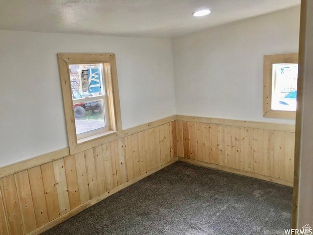 250 W 700 S, Richfield, UT 84701 - carpeted empty room featuring wooden walls