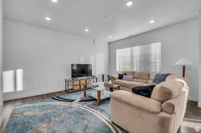 1218 Sawmill Blvd Unit 104, Heber City, UT 84032 - living room featuring a textured ceiling and dark hardwood / wood-style flooring