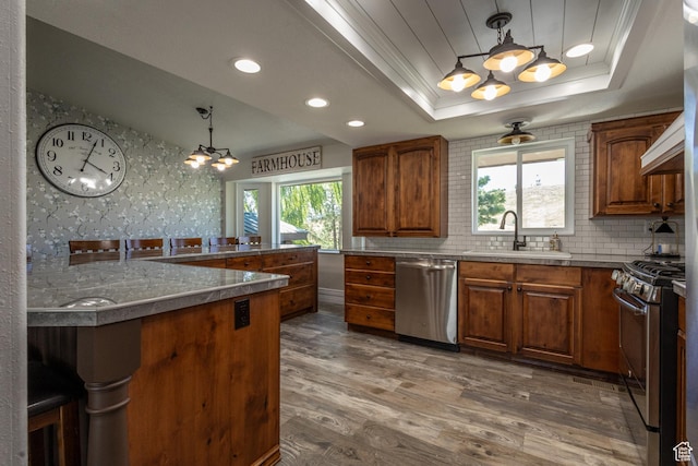 kitchen with dark wood-type flooring, a raised ceiling, sink, decorative backsplash, and stainless steel appliances