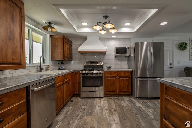 kitchen with sink, dark hardwood / wood-style flooring, a tray ceiling, custom exhaust hood, and appliances with stainless steel finishes