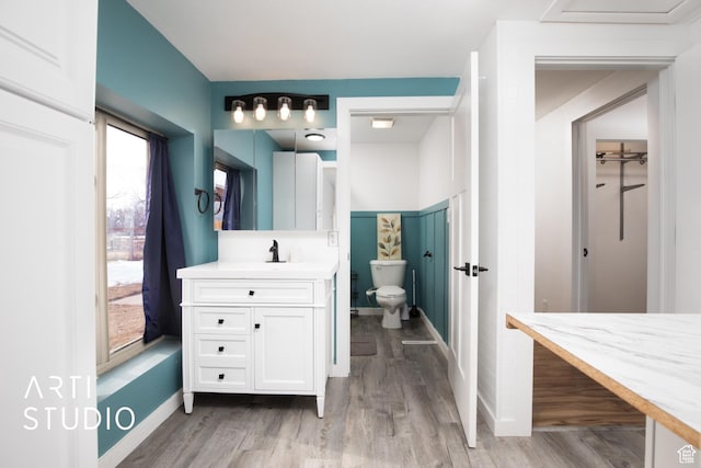 bathroom featuring vanity, wood-type flooring, and toilet