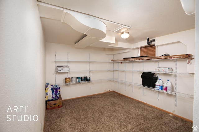 basement with carpet floors