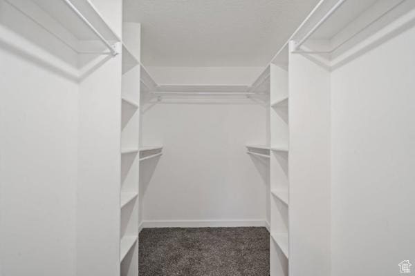 756 E 3rd St S, Ogden, UT 84404 - spacious closet with carpet flooring