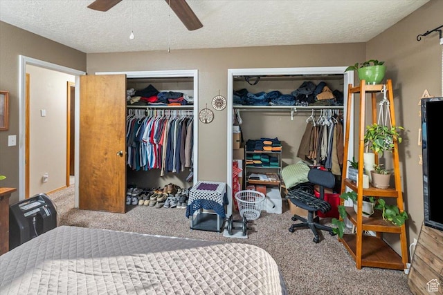 bedroom featuring carpet flooring, ceiling fan, and a textured ceiling
