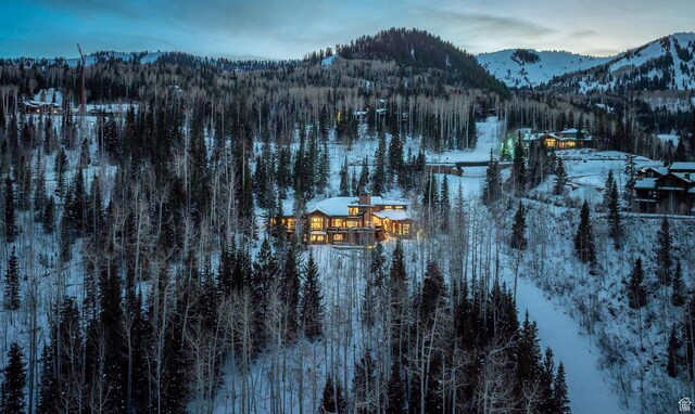 46 White Pine Canyon Rd, Park City, UT 84060 - photo 78
