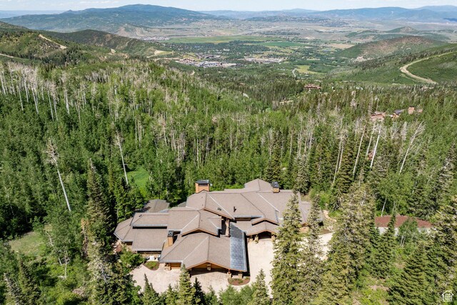 46 White Pine Canyon Rd, Park City, UT 84060 - photo 9