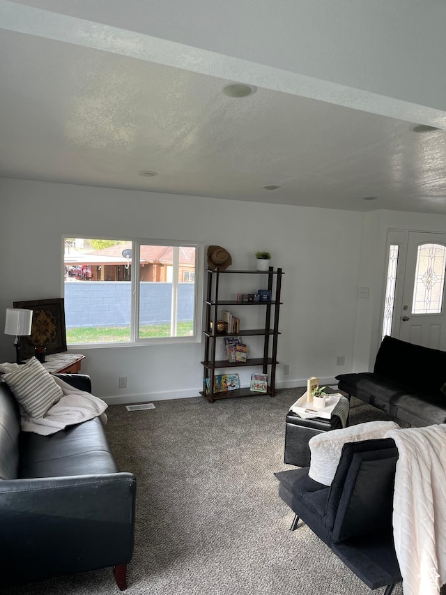 758 E 3rd St S, Ogden, UT 84404 - carpeted living room with baseboards, healthy amount of natural light, and a textured ceiling