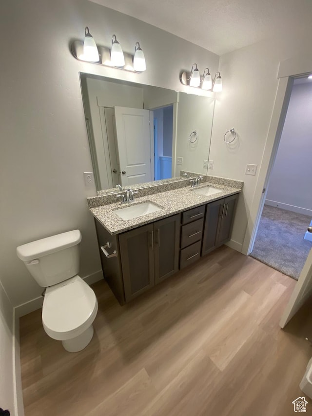 bathroom featuring vanity, toilet, and wood-type flooring