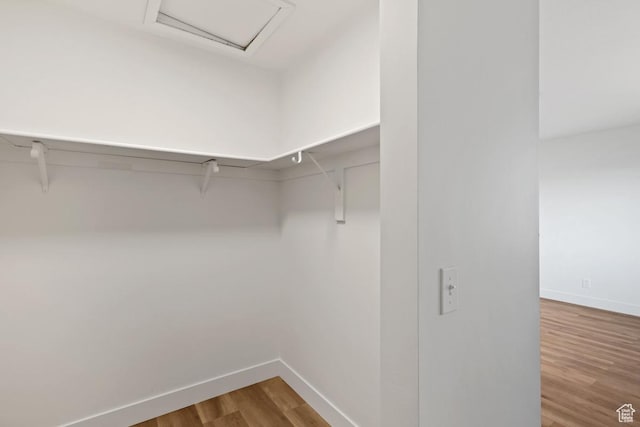 12875 S Aspen Cir, Riverton, UT 84065 - walk in closet with wood finished floors and attic access