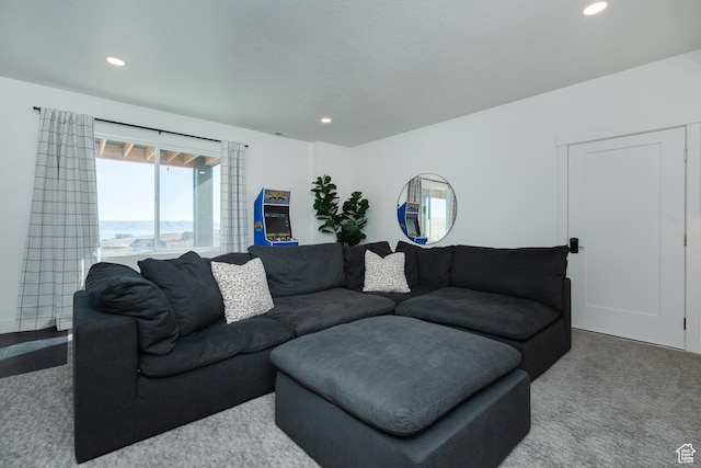 470 Lotus Dr Unit 149, Fish Haven, ID 83287 - living area with recessed lighting and carpet floors