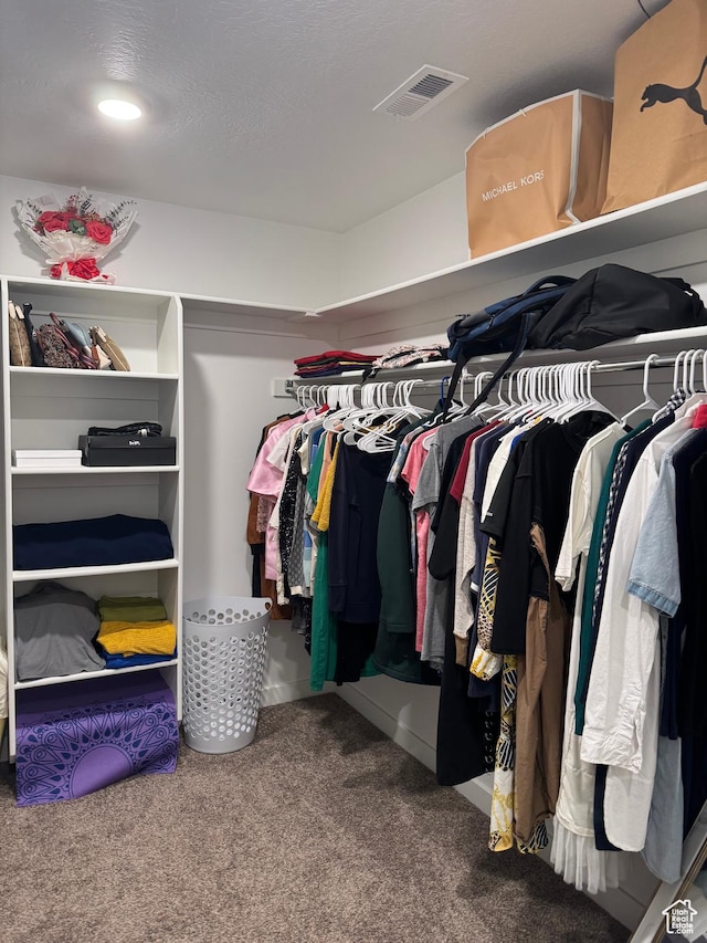 walk in closet featuring carpet floors