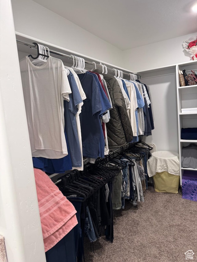 spacious closet featuring carpet floors