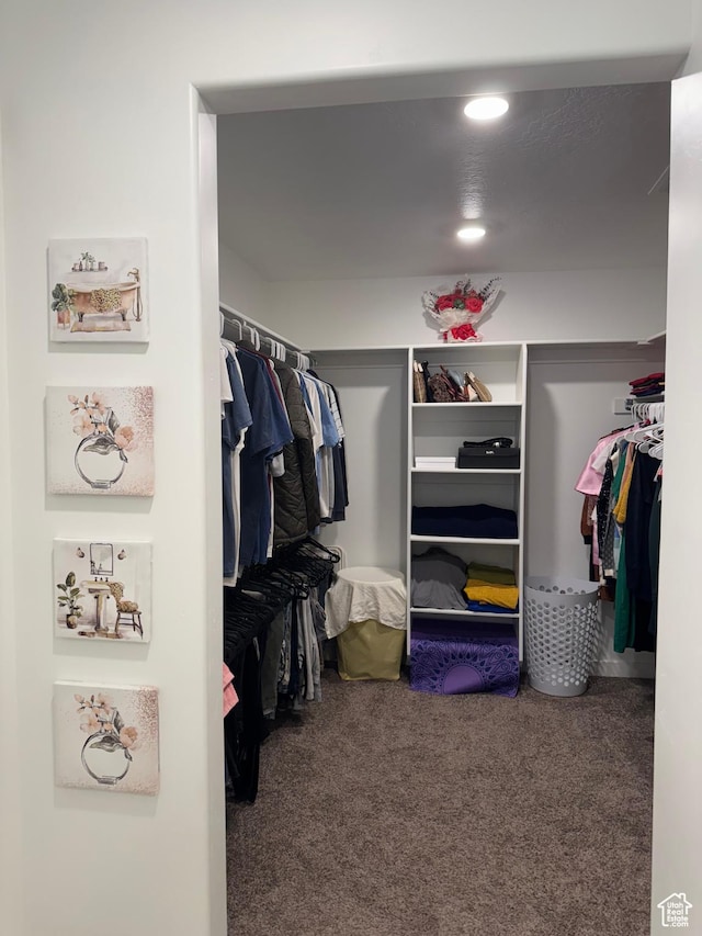 walk in closet with carpet flooring
