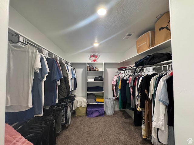 spacious closet with dark colored carpet