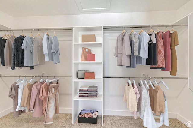 view of closet