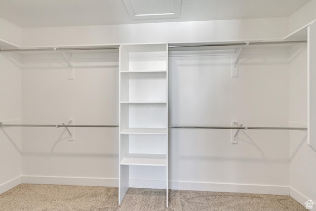 walk in closet featuring light colored carpet