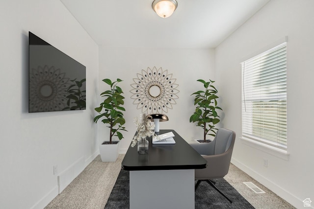 carpeted home office with a wealth of natural light
