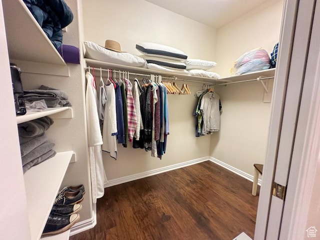 715 Lobo Ln, Washington, UT 84780 - walk in closet with wood-type flooring