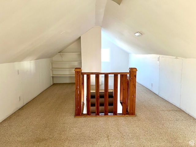 additional living space featuring light carpet and vaulted ceiling