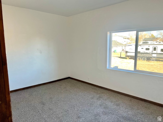 spare room with carpet