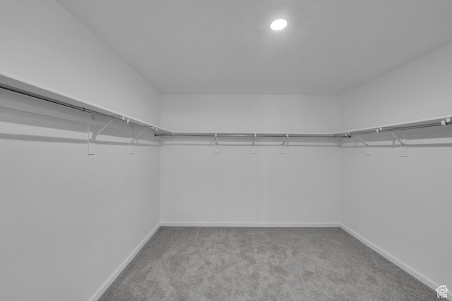 458 W Lefty Ln Unit 1129, Stansbury Park, UT 84074 - spacious closet featuring carpet flooring