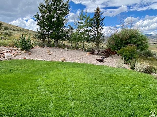 972 E Ridgeway Loop Unit 228, Garden City, UT 84028 - view of green lawn