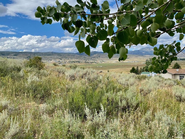 972 E Ridgeway Loop Unit 228, Garden City, UT 84028 - view of mountain backdrop