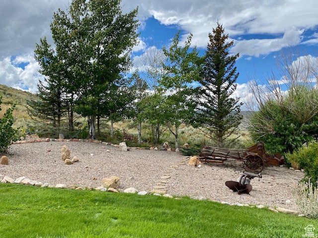 972 E Ridgeway Loop Unit 228, Garden City, UT 84028 - view of yard