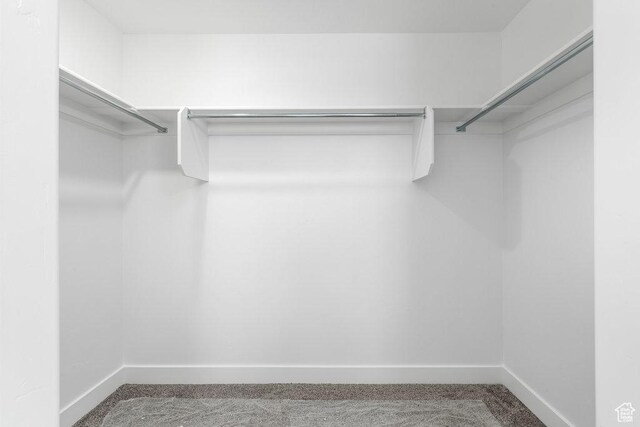 1151 W High Plains Dr Unit 605, Grantsville, UT 84029 - walk in closet with carpet