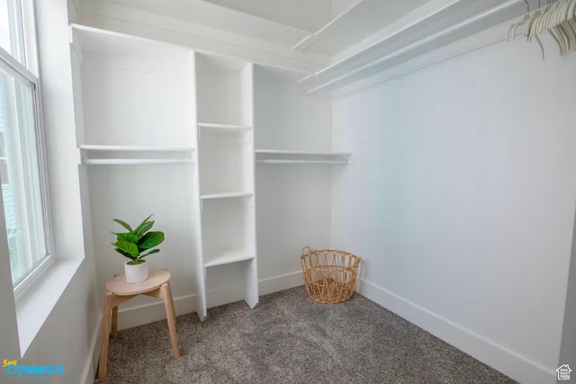 909 W Euclid Ave Unit 4, Salt Lake City, UT 84104 - spacious closet with carpet flooring