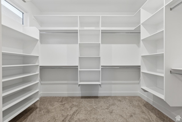 741 S 1800 W, Hurricane, UT 84737 - spacious closet featuring carpet floors