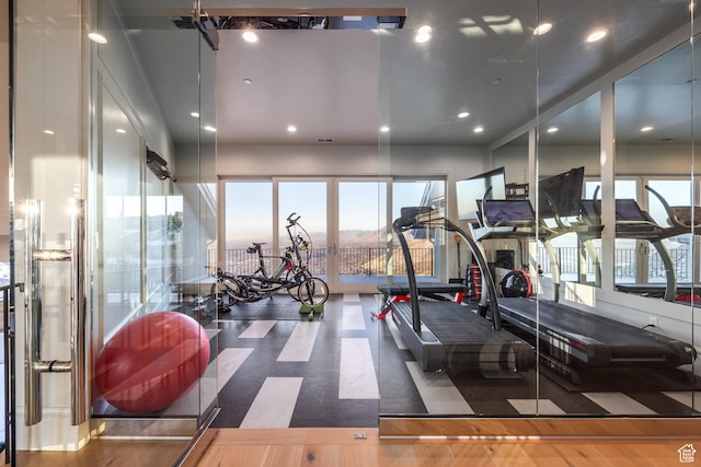 1515 E Bluff Point Dr, Draper, UT 84020 - view of exercise room
