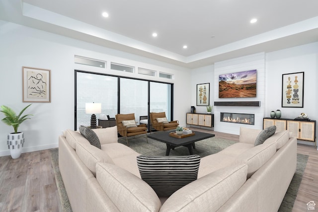 living room featuring wood-type flooring, a large fireplace, and a tray ceiling
