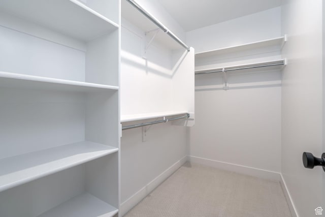 walk in closet with light carpet