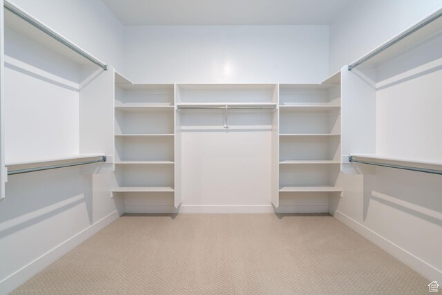 walk in closet with light carpet