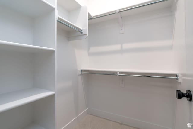 view of walk in closet