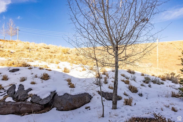 1773 E Longview Dr, Hideout, UT 84036 - view of snowy yard