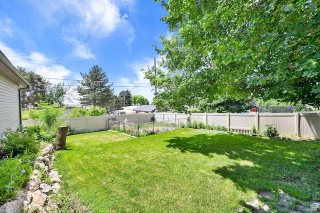 967 E 2800 N, North Ogden, UT 84414 - view of yard