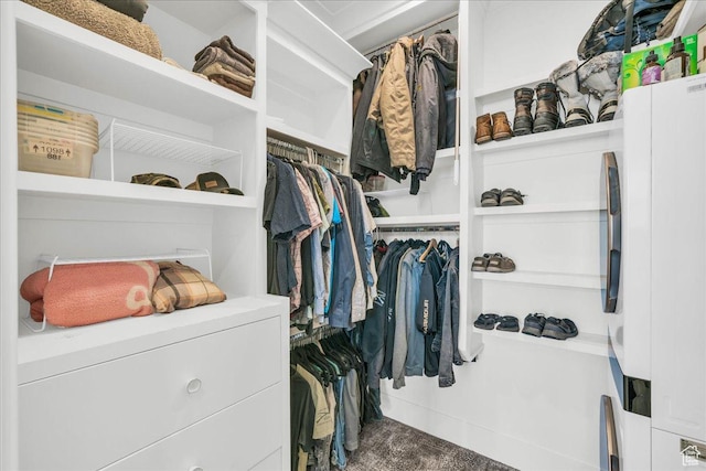 4009 S 2420 E, St George, UT 84790 - walk in closet featuring carpet