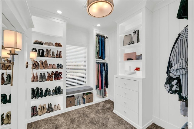 4009 S 2420 E, St George, UT 84790 - walk in closet with dark colored carpet