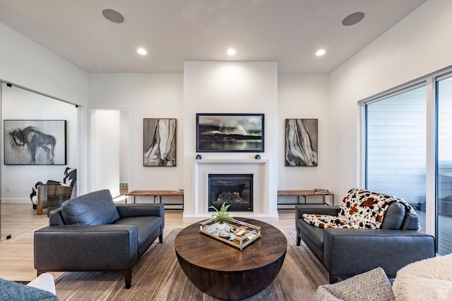 living room featuring hardwood / wood-style floors