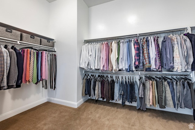 walk in closet with carpet flooring