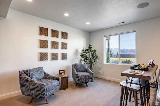 sitting room featuring carpet flooring, a mountain view, and a textured ceiling