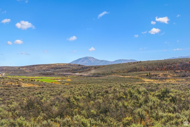 5801 Double Deer Dr Unit 3, Park City, UT 84098 - mountain view