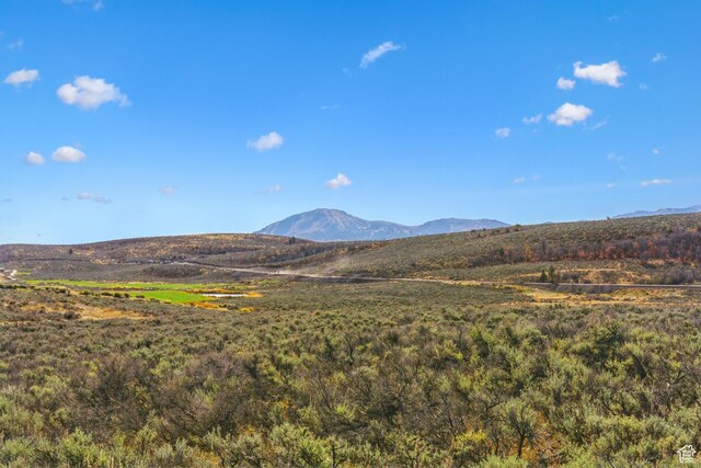 5801 Double Deer Dr Unit 3, Park City, UT 84098 - photo 3