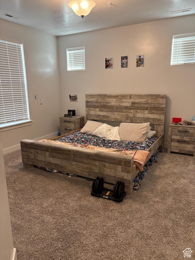 1772 W Terra Vista Ln Unit G101, Saratoga Springs, UT 84045 - bedroom featuring carpet floors and a textured ceiling