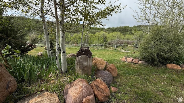2736 N Evergreen Park Dr Unit 300, Huntsville, UT 84317