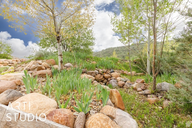 2736 N Evergreen Park Dr Unit 300, Huntsville, UT 84317
